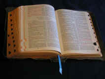 Bible04.JPG (1457597 bytes)